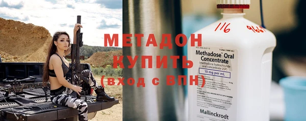 прущие грибы Михайловск