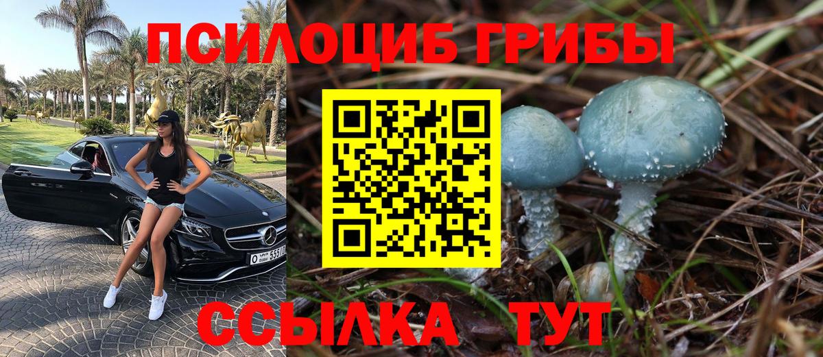 Галлюциногенные грибы Cubensis Евпатория