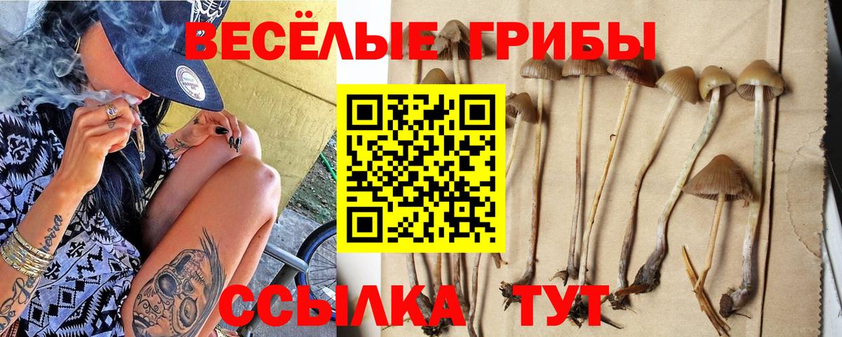 Галлюциногенные грибы мицелий  Вход с VPN  где найти наркотики  Евпатория 